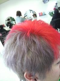 P1000025.JPGのサムネール画像