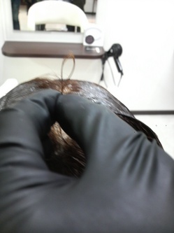 P1000109.JPG