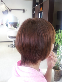 20120823_124133.jpg